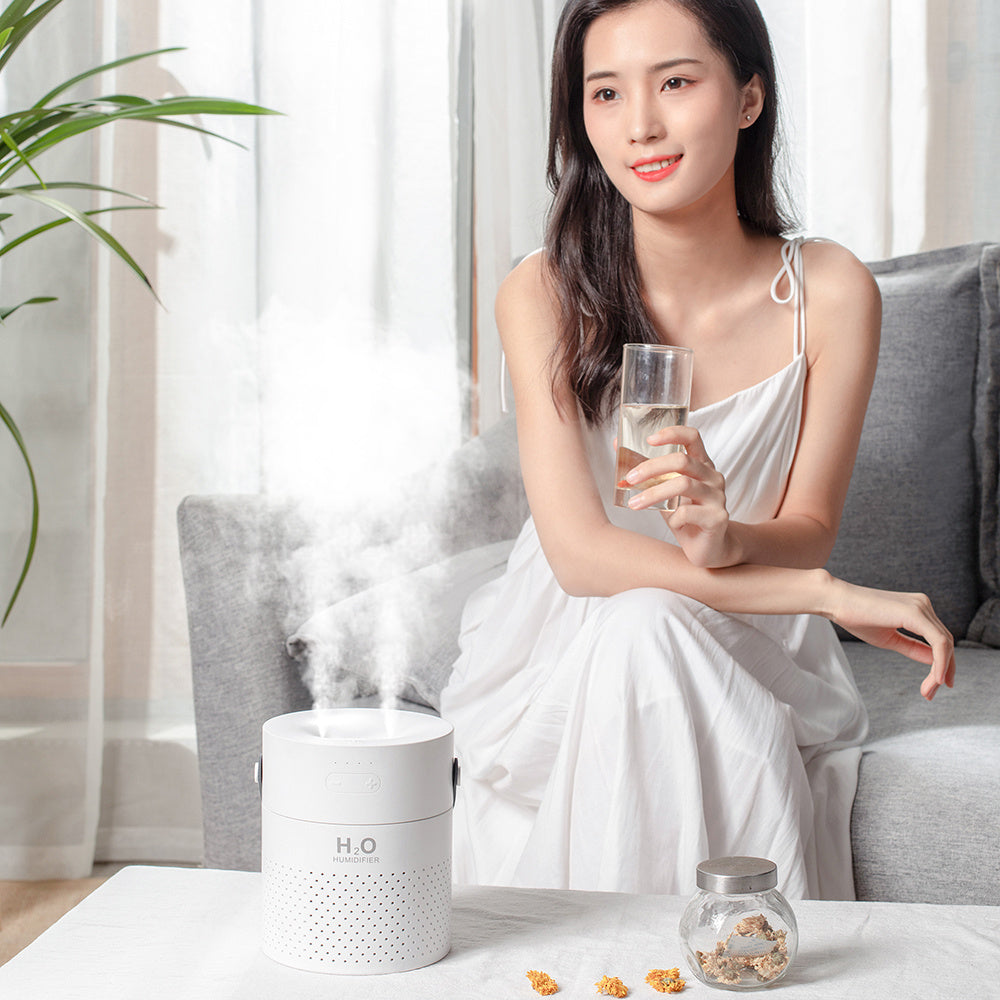 Alana Humidifier